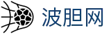 波胆赛事数据网：足球赛程赛果查询与今日比分分析